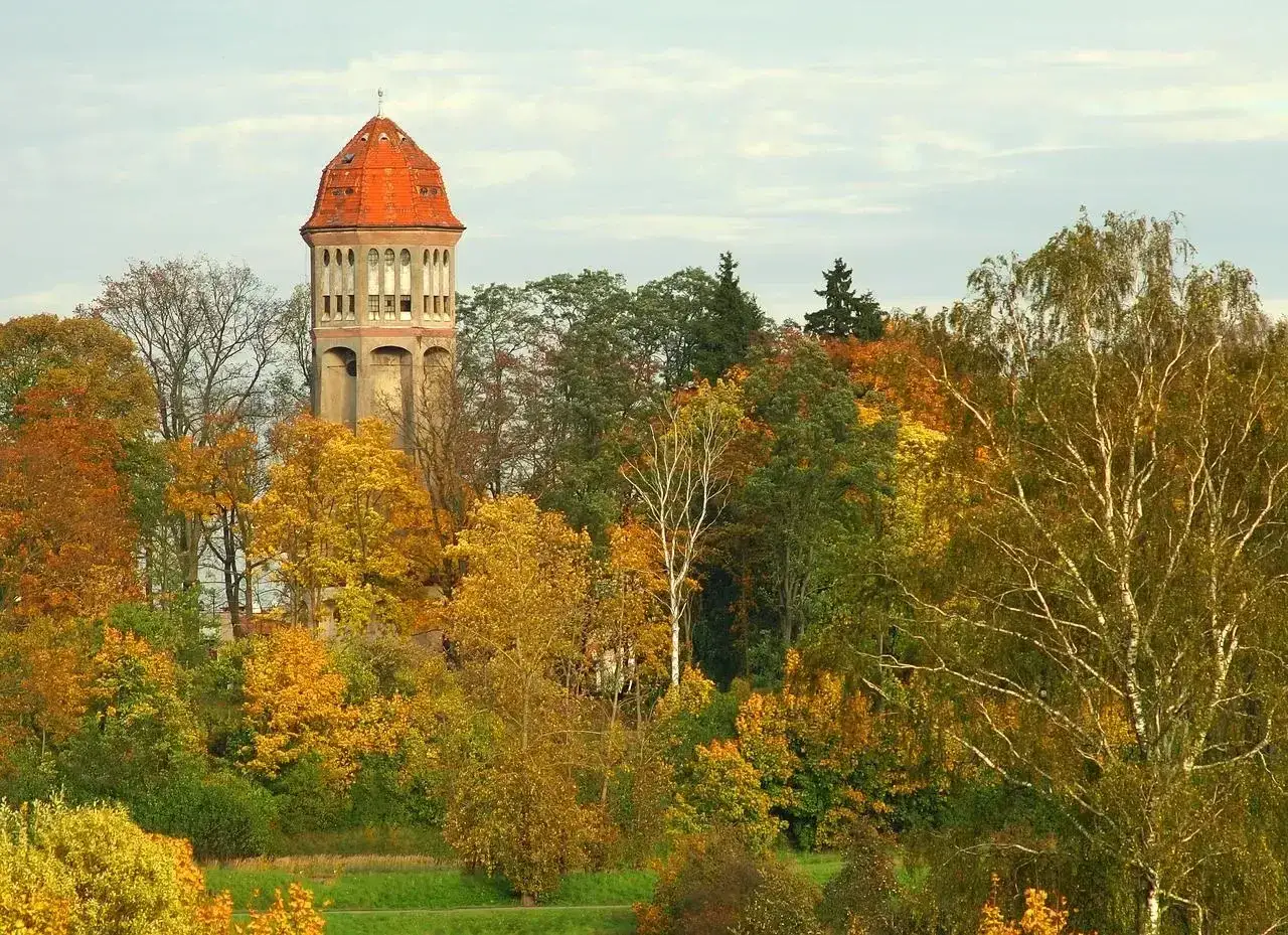 Zdjęcie Sokolec atrakcje - odkryj ukryte skarby i niezapomniane miejsca