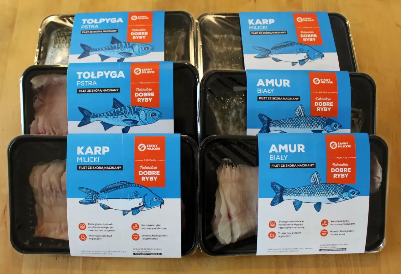 Zdjęcie Gdzie zjeść przy Stawach Milickich? Najlepsze lokale z rybami