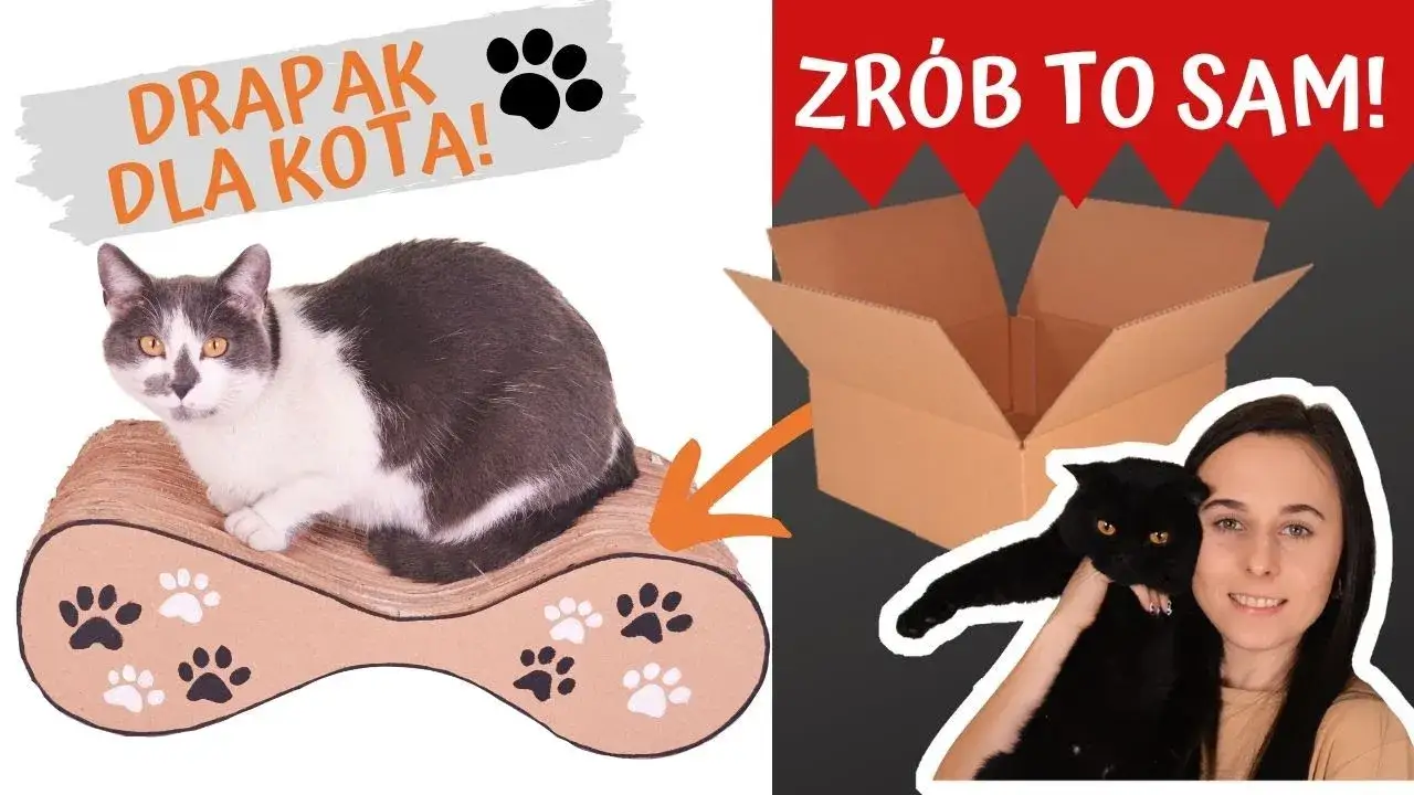 Zdjęcie Jak zrobić tanie i ekologiczne legowisko dla kota z kartonu krok po kroku