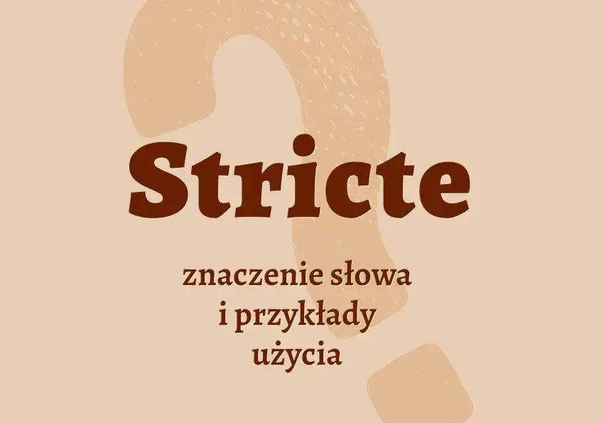 Zdjęcie Sensu stricto czy sensu stricte &ndash; odkryj poprawne użycie i r&oacute;żnice