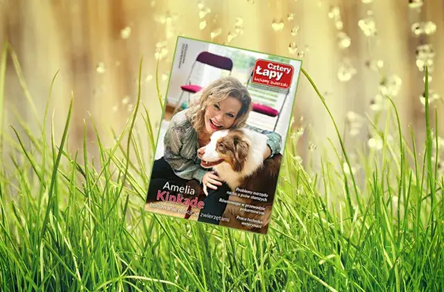 Zdjęcie Czy kleszcz z kota może przejść na człowieka? Dowiedz się, jak się chronić