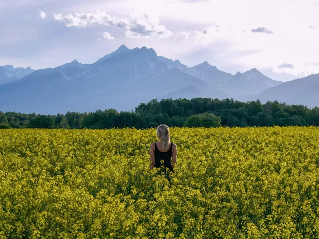 Zdjęcie Wysokie Tatry atrakcje - najlepsze miejsca, które musisz zobaczyć