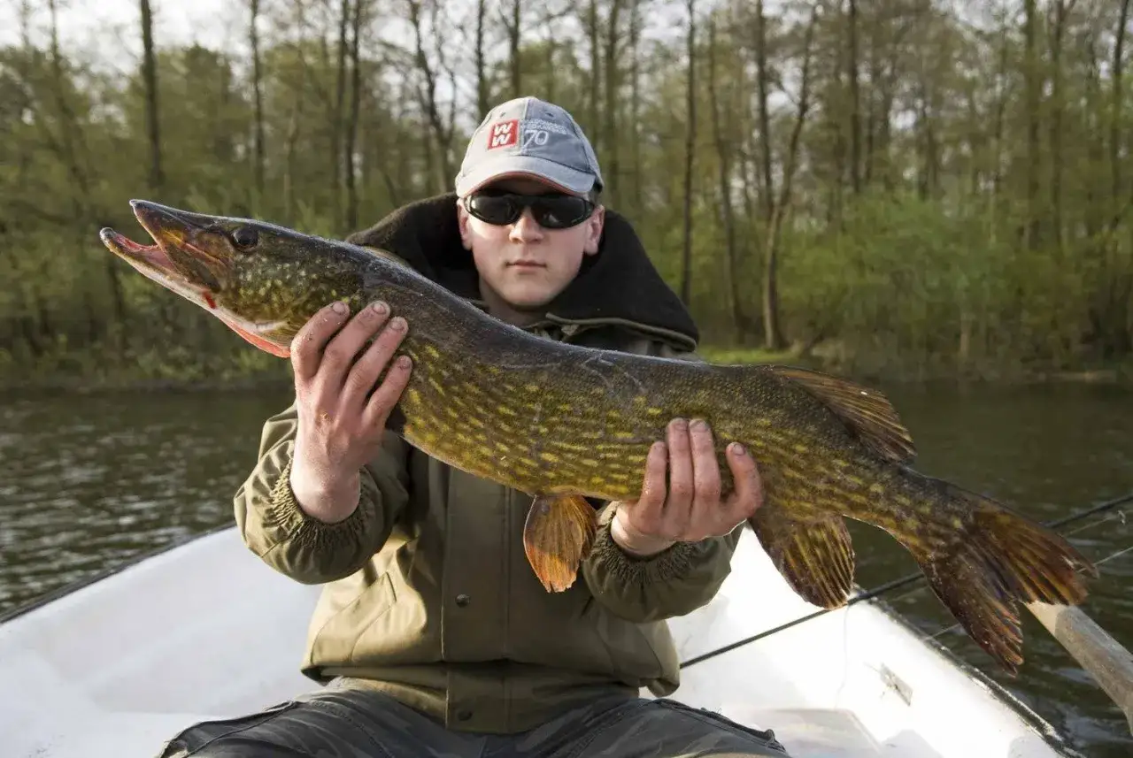 Zdjęcie Jak zdobyć pozwolenie na wędkowanie w Jeziorze Raduńskim?