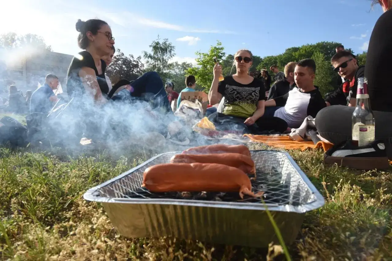 ludzie grillują w plenerze