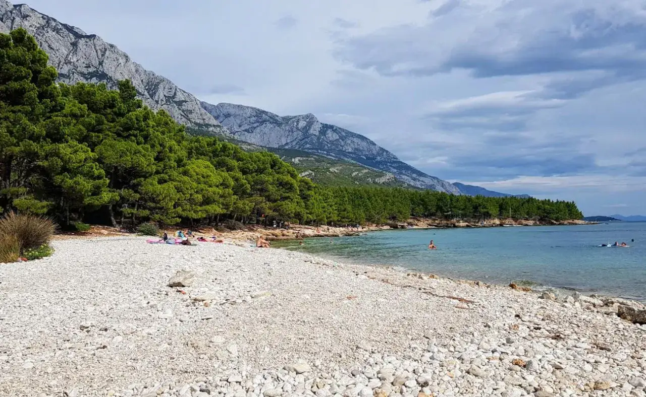 Kamienista plaża w Baśko Polje, z turkusową wodą, sosnowym lasem i skalistymi g&oacute;rami w tle.