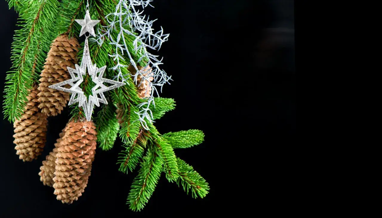Ozdoby świąteczne DIY z darów natury
