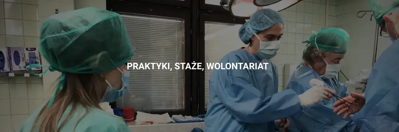 staż praktyki wolontariat student