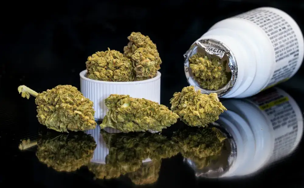 zanieczyszczona marihuana dopalacze