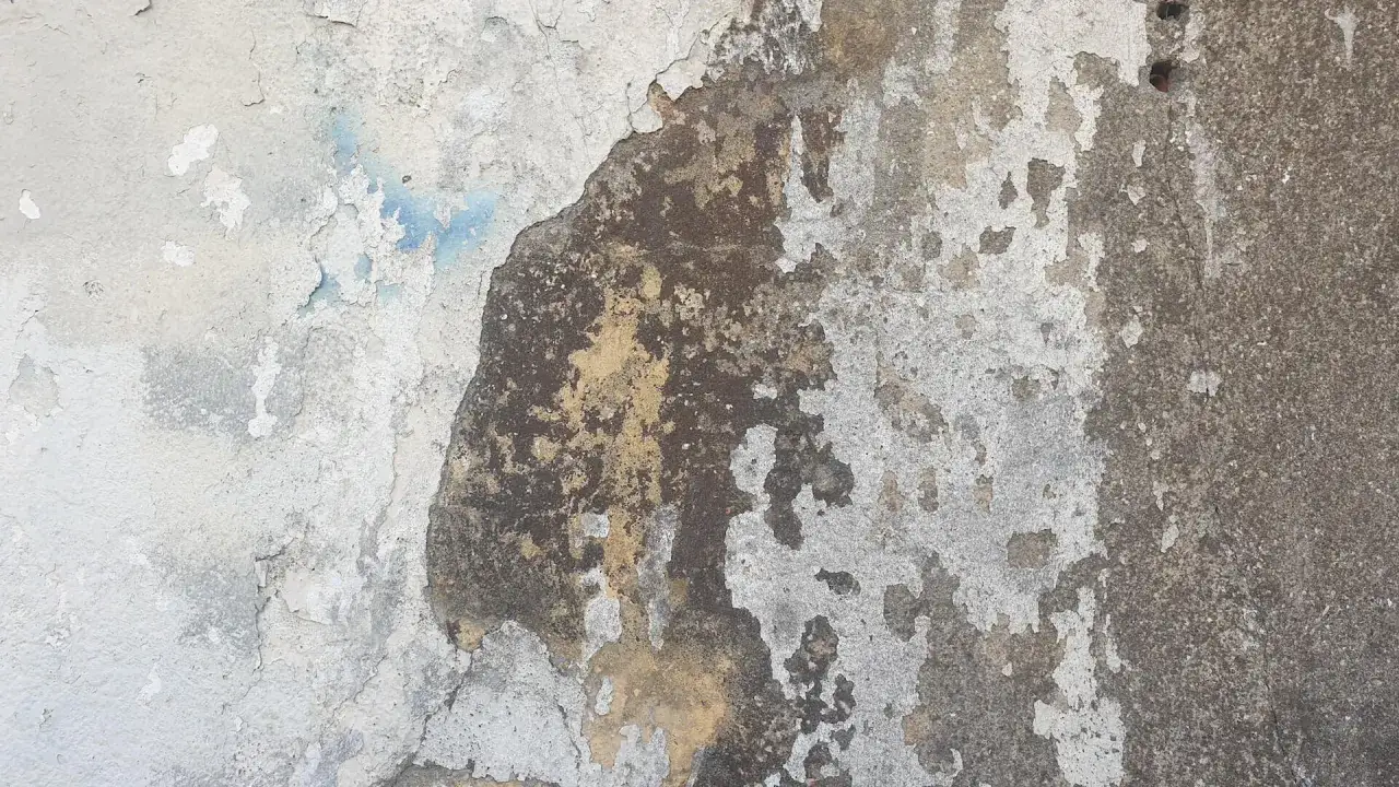 Widoczne ślady wilgoci na ścianach, łuszcząca się farba i plamy tworzą niepokojący obraz zniszczenia.