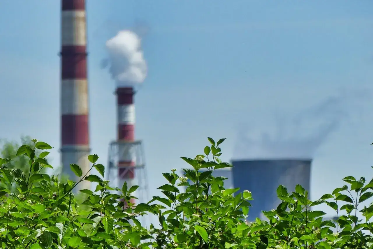 Kr&oacute;tkoterminowe i długoterminowe skutki smogu na zdrowie