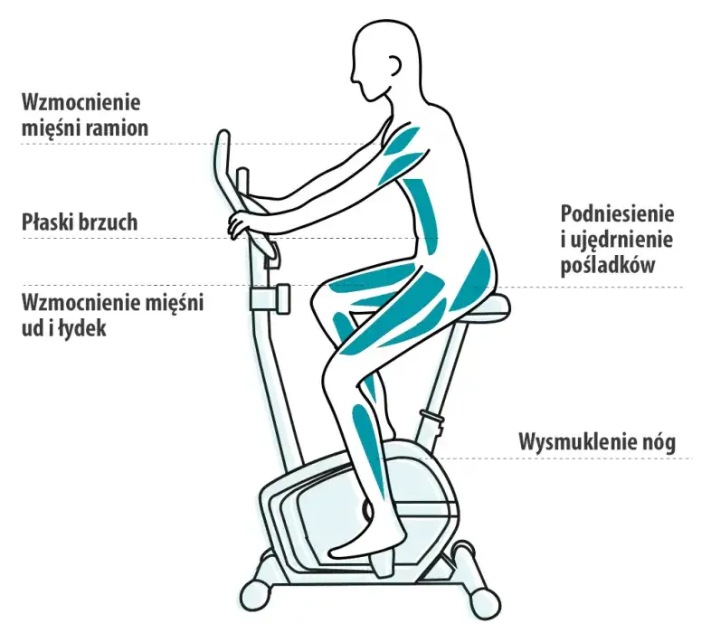 mięśnie pracujące na rowerze stacjonarnym