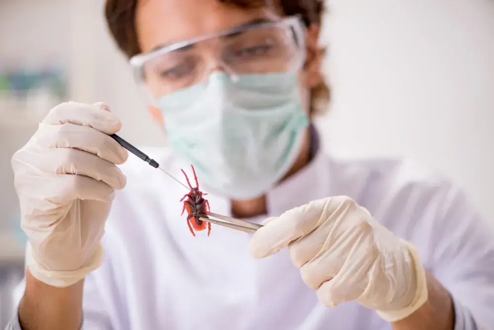 naukowiec badający owady