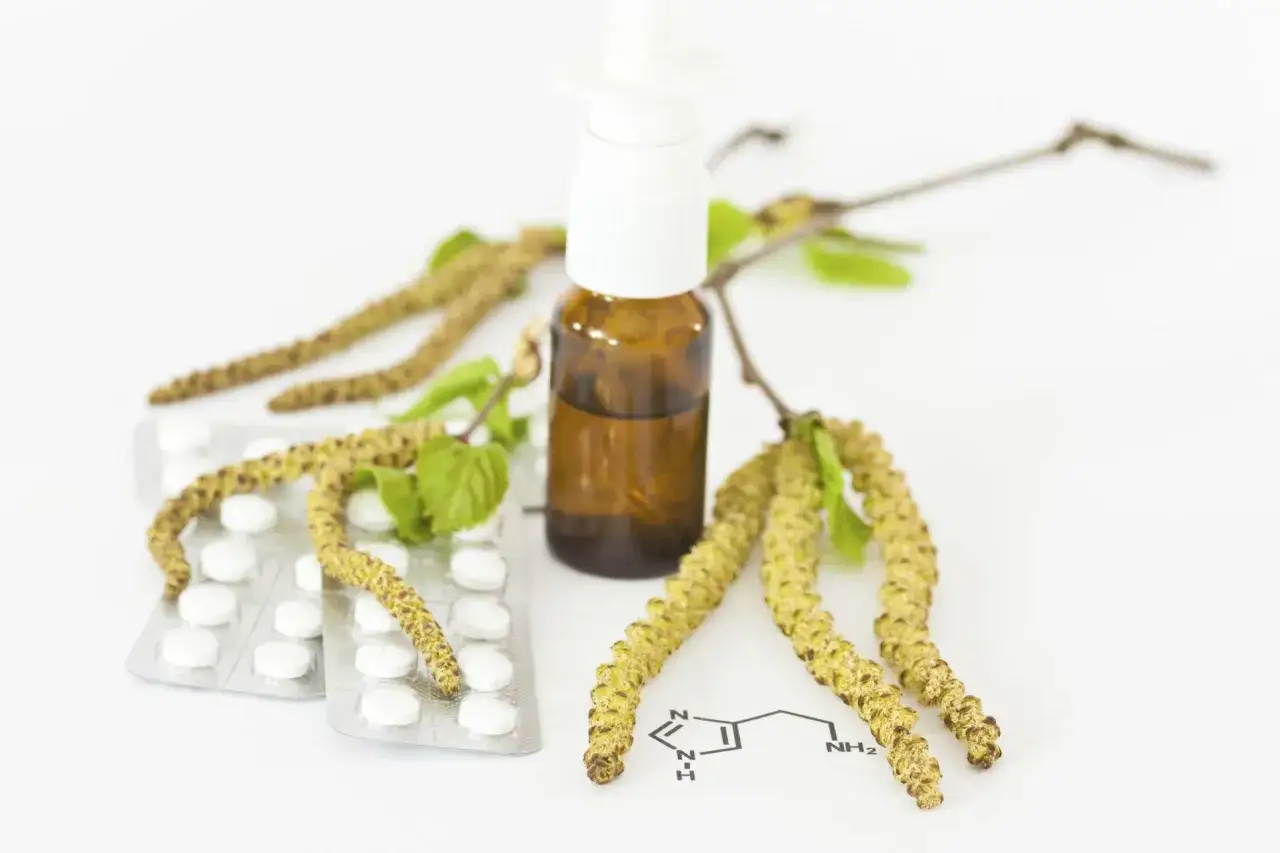 Pylenie brzozy i leki na alergię: tabletki, krople do nosa i gałązki z baziami.