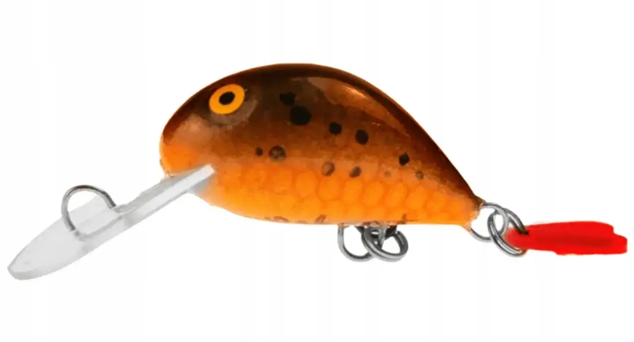 Wędkarz z martwą rybką jako przynętą