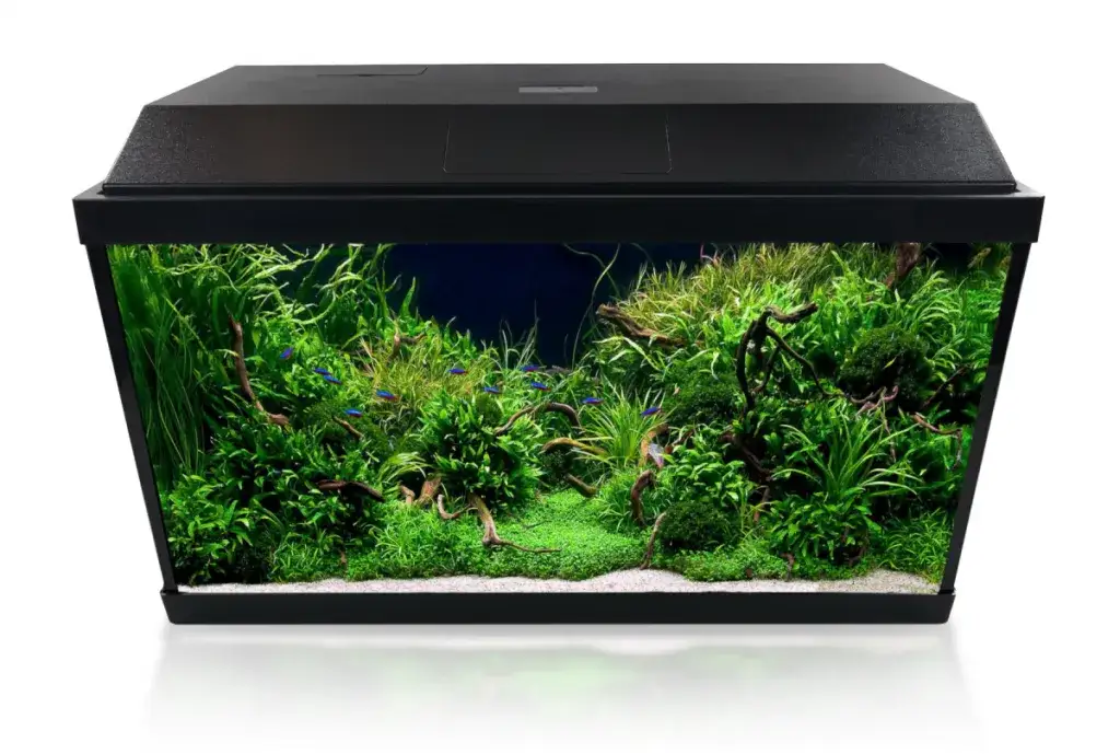 Podstawowy sprzęt do akwarium 60l