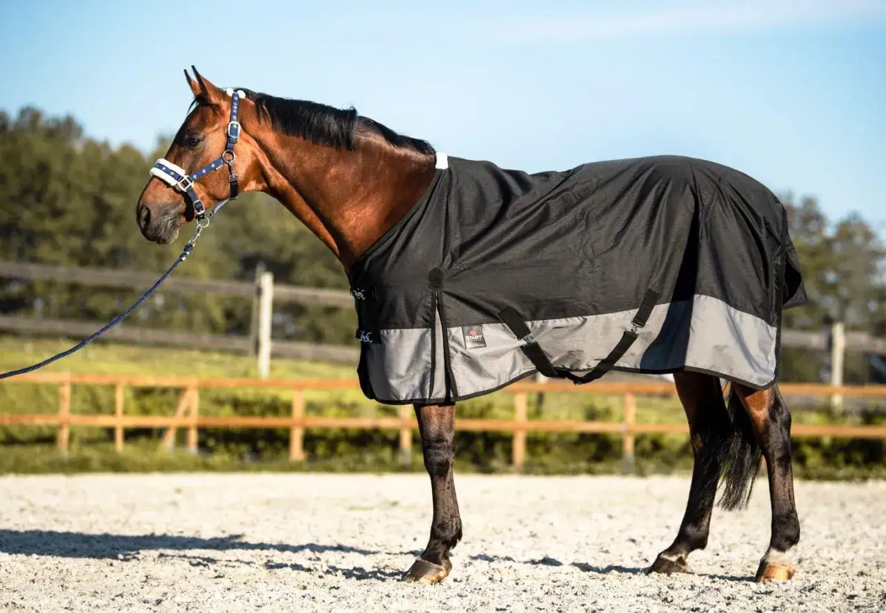 Brązowy koń w czarnej derce przeciwdeszczowej z szarym pasem, stoi na piaszczystym wybiegu.