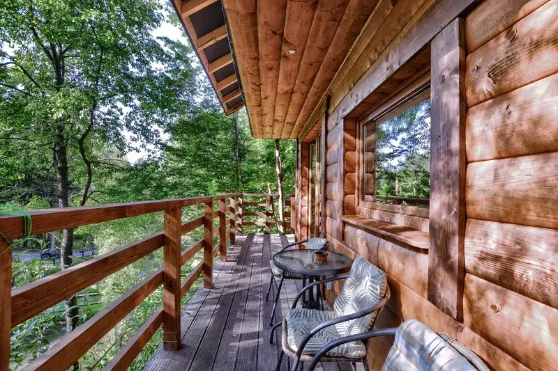 Bieszczady nocleg z psem