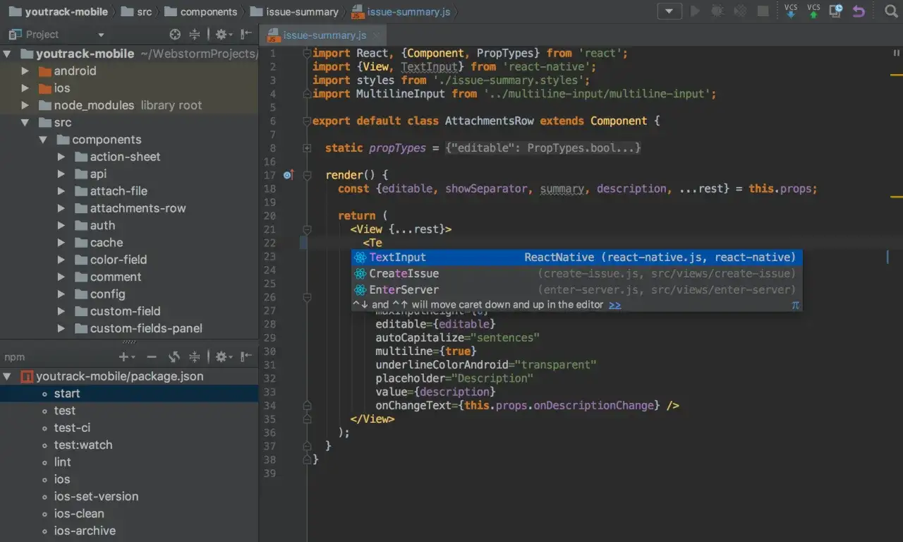 WebStorm IDE screenshot