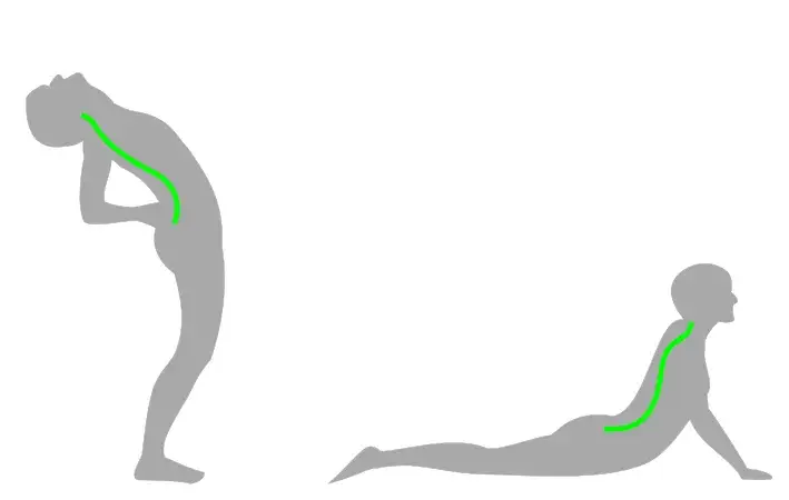 Metoda McKenziego przeprosty