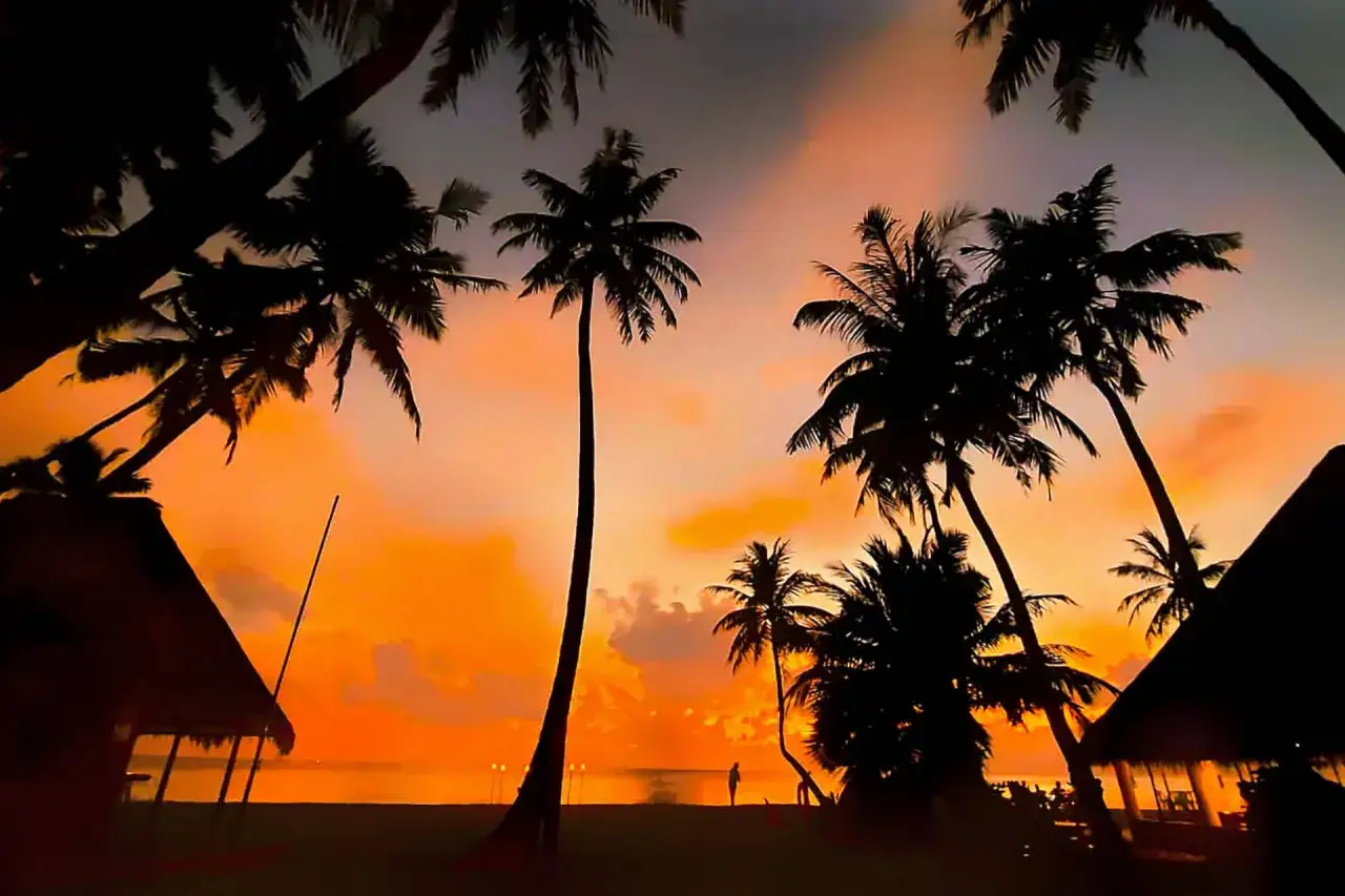 Zachód słońca na Malediwach, palmy i chatki. Idealny czas na podróż, kiedy najlepiej jechać na Malediwy, to właśnie takie chwile.
