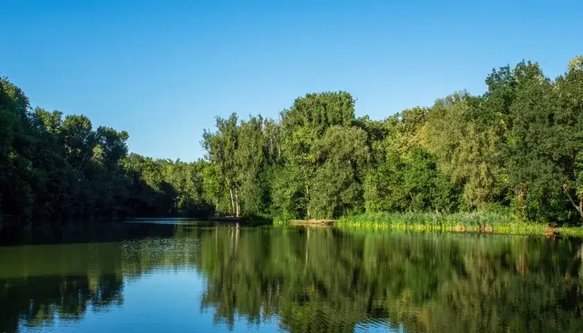 Wielkopolska jeziora wędkarstwo krajobrazy