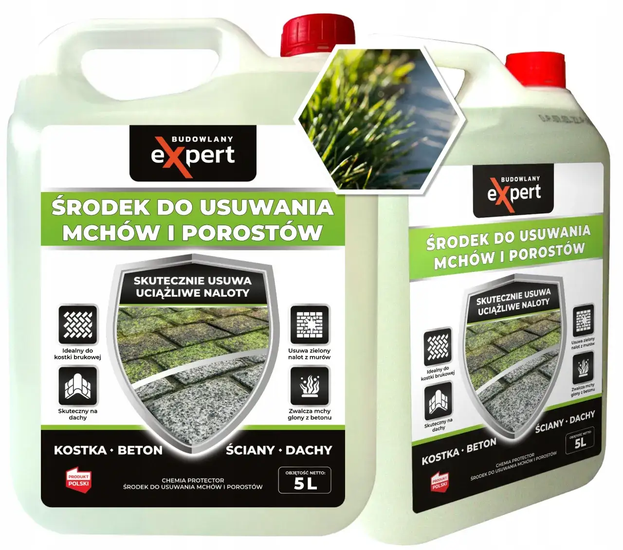 preparaty na mech do betonu chlorek benzalkoniowy