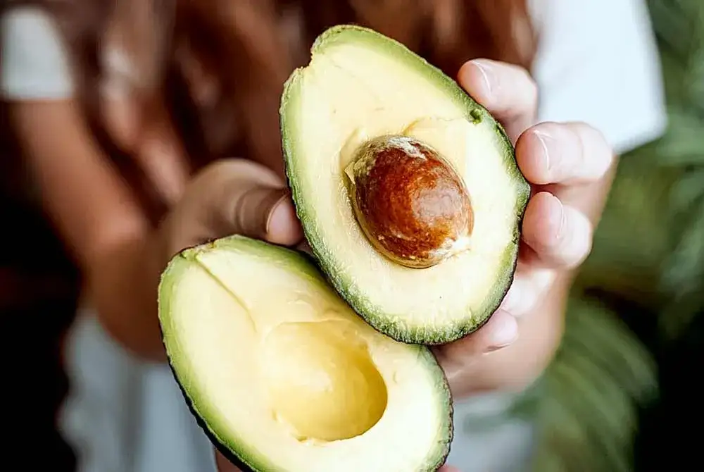 Zdjęcie Czy pies może jeść awokado? Sprawdź niebezpieczeństwa dla zdrowia