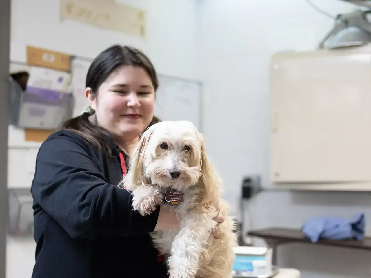 Kobieta trzyma na rękach małego, kudłatego psa. Mimo że ma alergię na psa, uśmiecha się do niego.