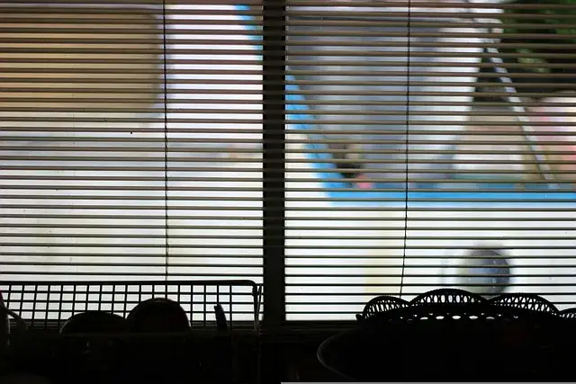 domowe sposoby na plamy na roletach, np. mąka ziemniaczana na tłuszcz