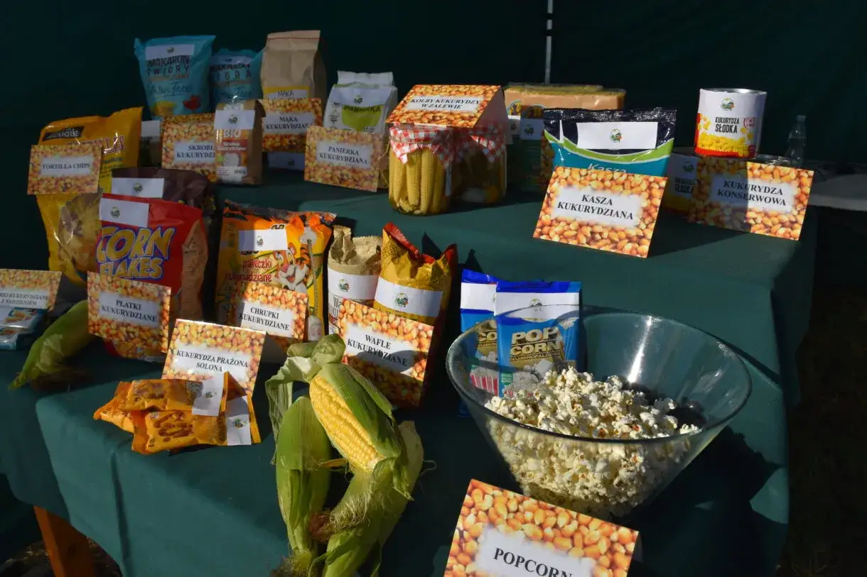 wyb&oacute;r kukurydzy w sklepie