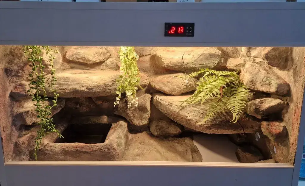 terrarium dla węża z wyposażeniem