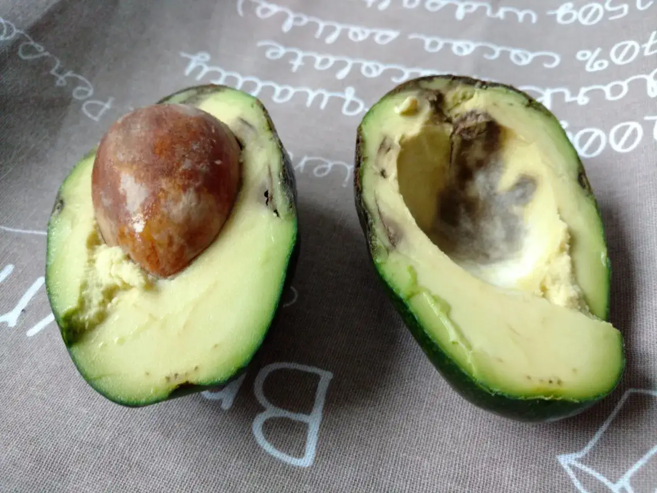 Dwa poł&oacute;wki awokado, jedno z pestką, drugie z ciemnymi przebarwieniami. Idealne awokado do guacamole powinno być miękkie, ale bez brązowych plam.