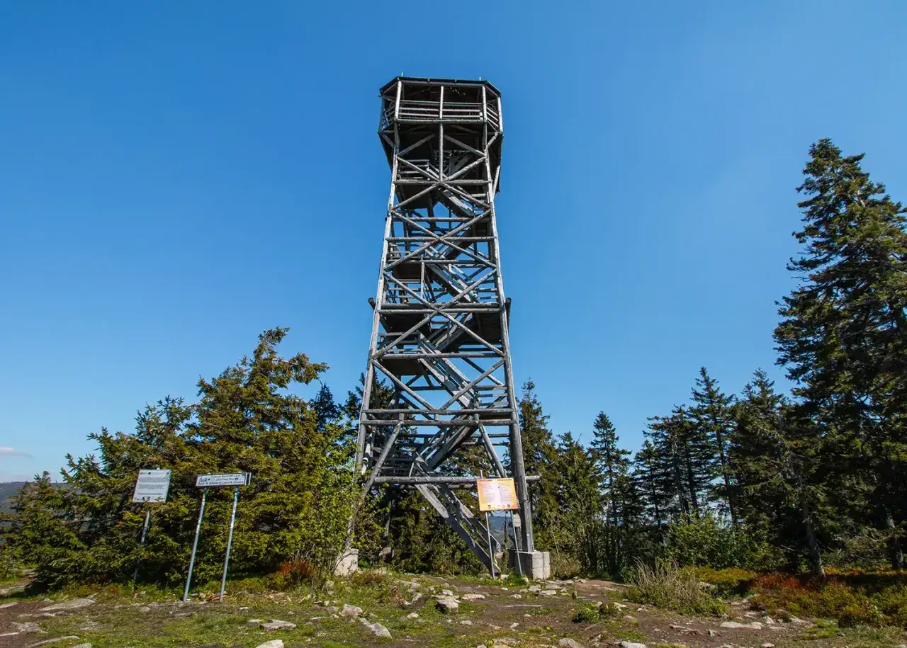 Drewniana wieża widokowa Tr&oacute;jmorski Wierch g&oacute;ruje nad lasem. Widać schody prowadzące na szczyt.