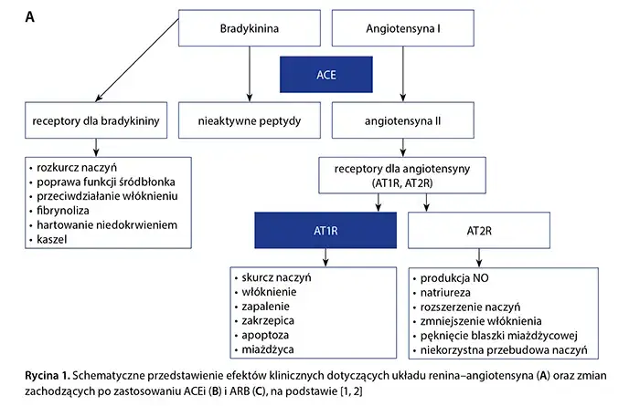 Rodzaje lek&oacute;w na nadciśnienie sartany