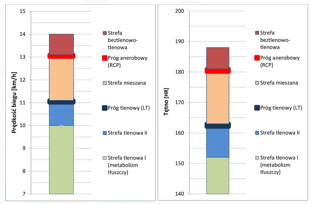 biegacz z pulsometrem strefy tętna