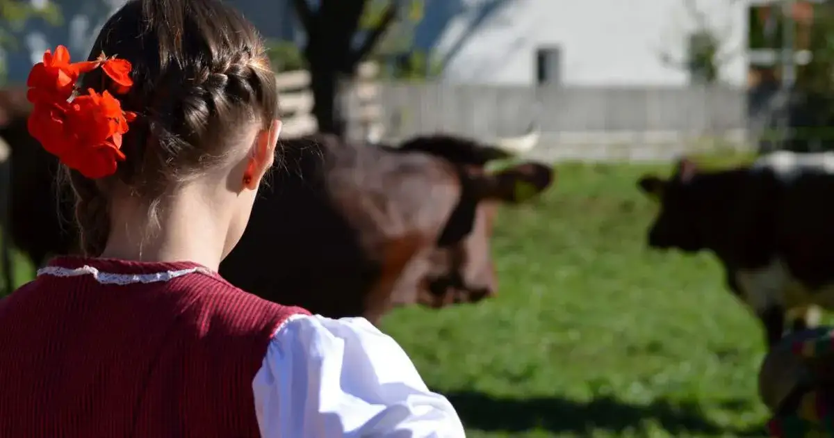 Mucche felici pascolo Alto Adige