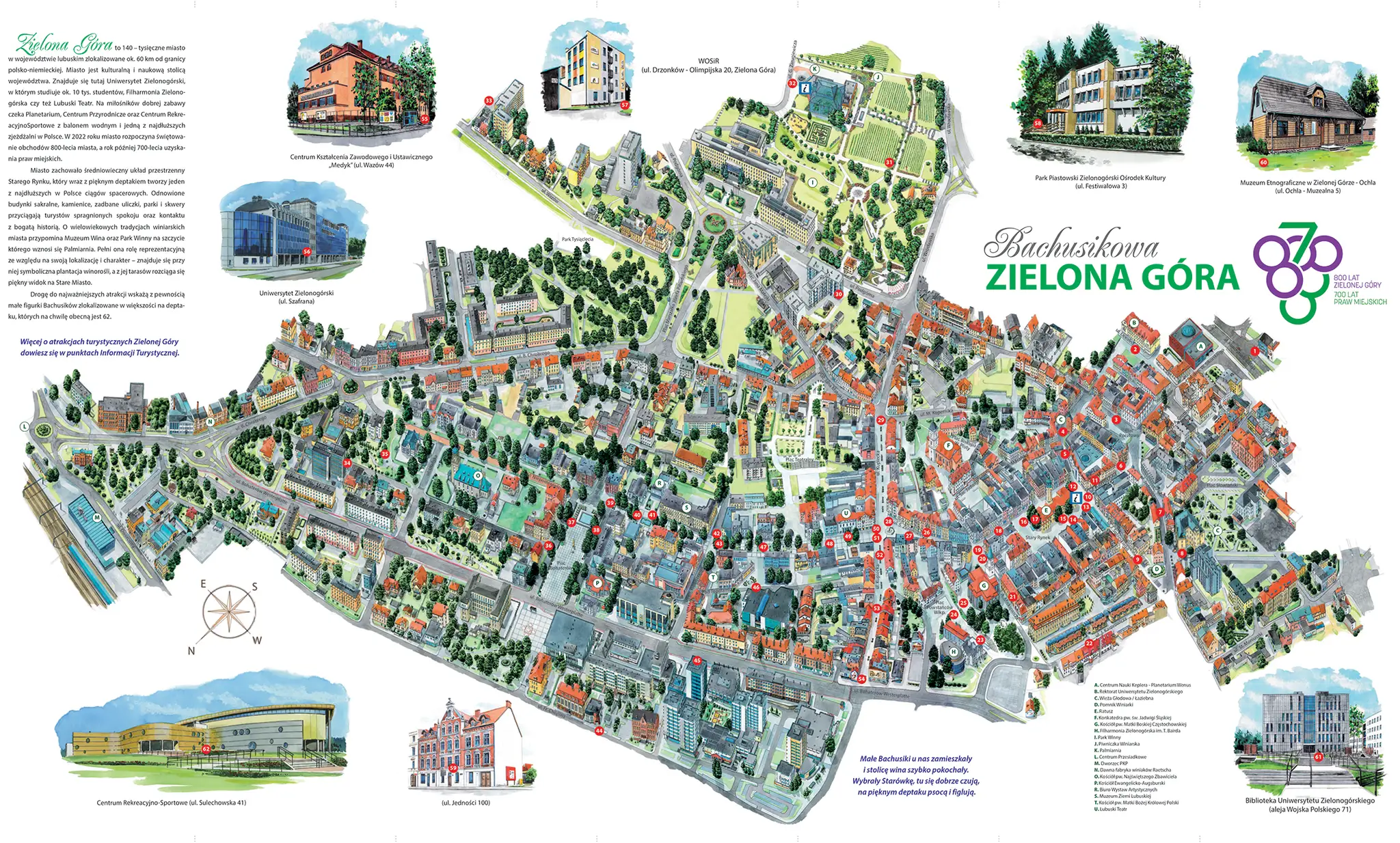 Bachusiki Zielona G&oacute;ra mapa