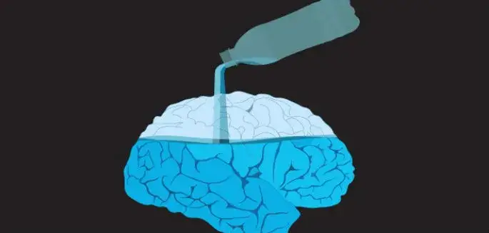 mózg i woda, wpływ wody na mózg grafika