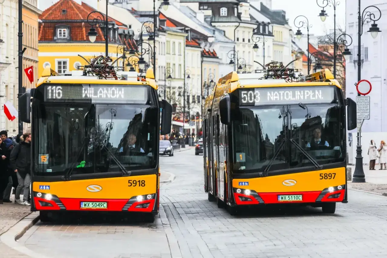 Dwa żółte autobusy miejskie na ulicy. Czy autobus wyjeżdżający z zatoki ma pierwszeństwo? Jeden z nich to linia 116 do Wilanowa, drugi 503 do Natolina Płn.