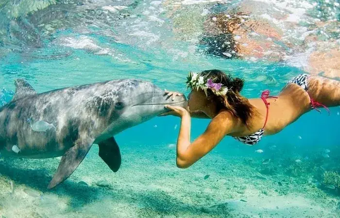 ż&oacute;łwie morskie diugonie delfiny Marsa Alam