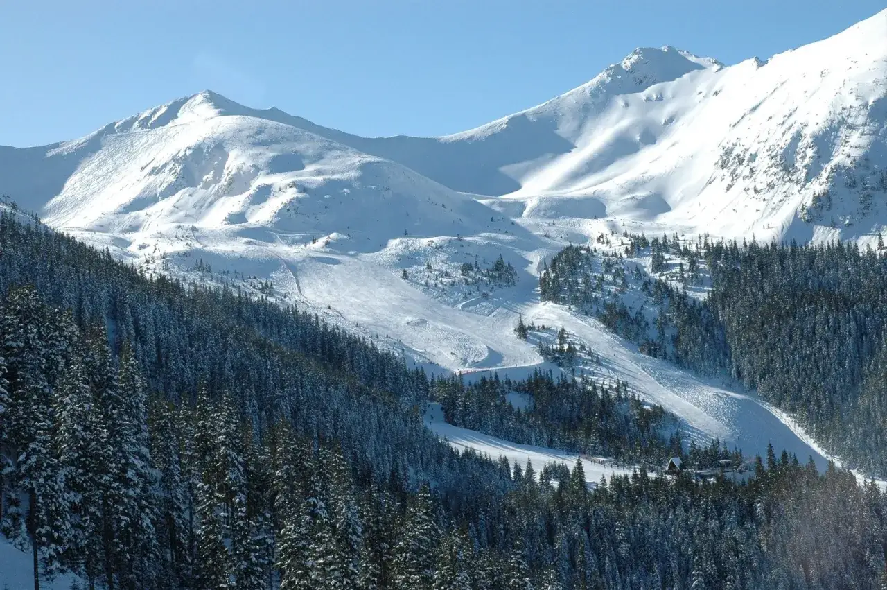 Zimowy krajobraz Tatr z ośnieżonym stokiem Kasprowego Wierchu, otoczonym gęstym lasem świerkowym.
