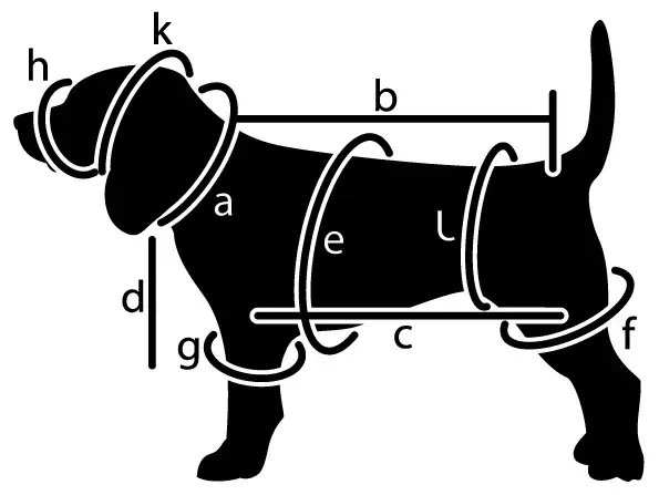 Jak zmierzyć psa do ubranka diagram