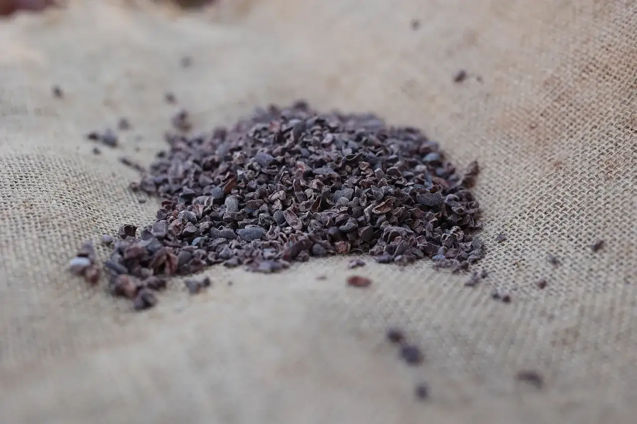 r&oacute;żne formy kakao (proszek, nibsy, pasta)