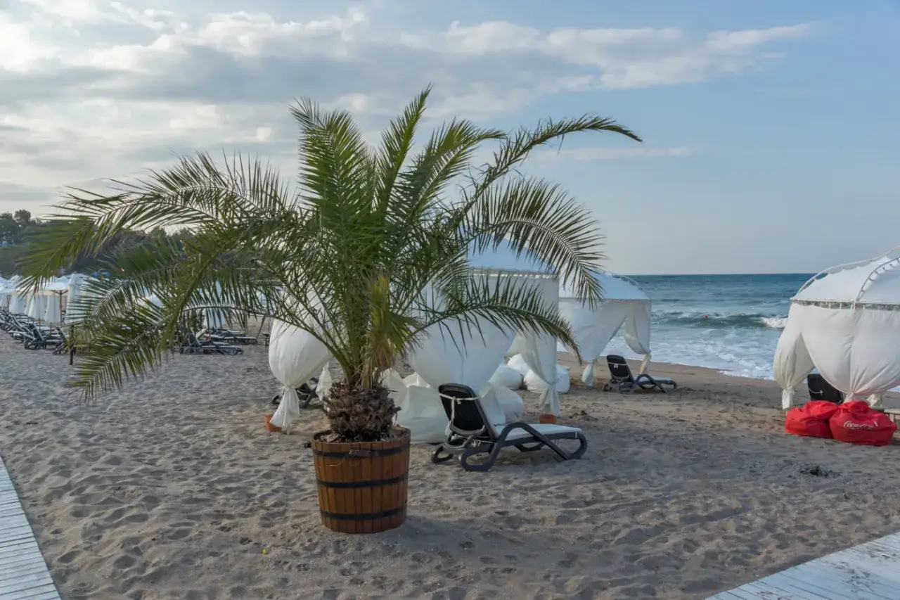 Palma na plaży, białe namioty i leżaki zapraszają do relaksu. Idealne carewo atrakcje dla każdego.