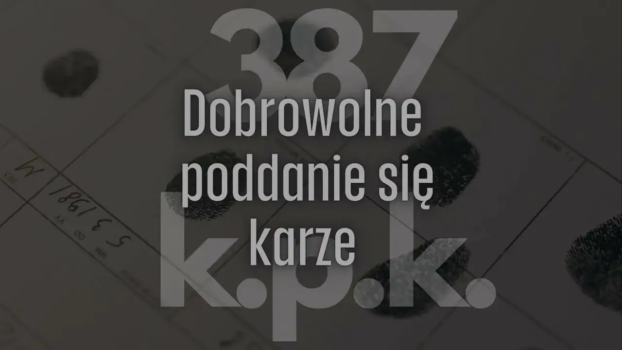 dobrowolne poddanie się karze