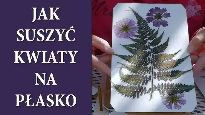 r&oacute;żne metody suszenia kwiat&oacute;w por&oacute;wnanie