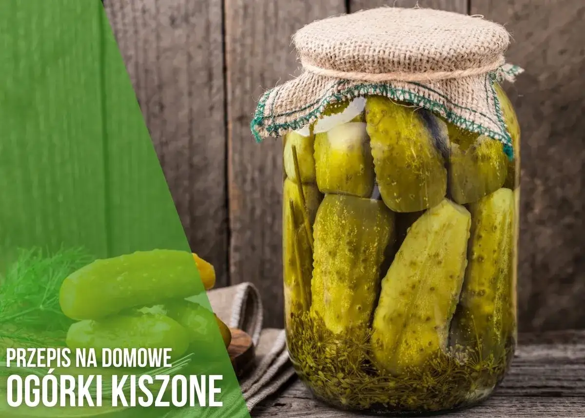 Słoik pełen domowych ogórków kiszonych, gotowych do spożycia. Dowiedz się, ile czasu kiszą się ogórki, by cieszyć się ich smakiem.