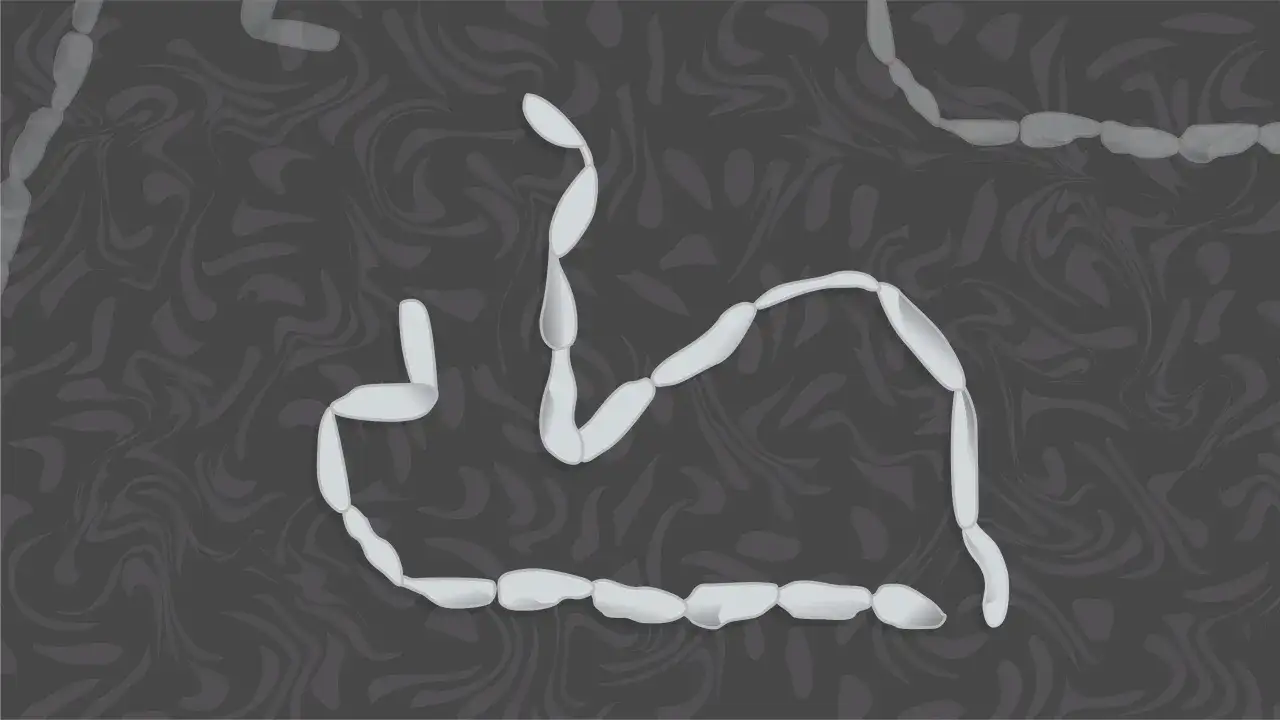 Białe robaki, przypominające segmenty, wiją się na ciemnym tle. Mogą symbolizować pasożyty u kota.