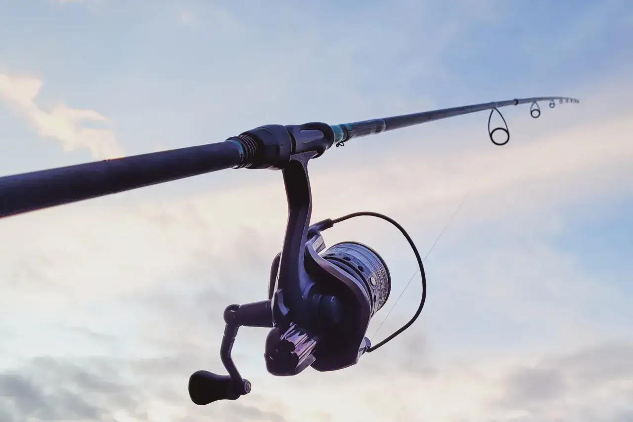 Zdjęcie Jak złożyć wędkę: proste kroki, aby uniknąć najczęstszych błędów