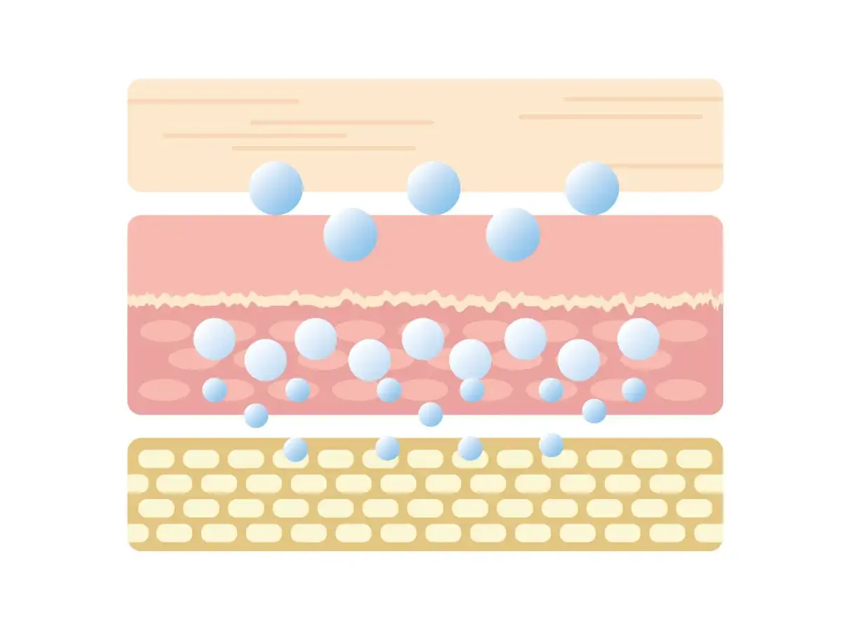 Rodzaje kwasu hialuronowego wielkość cząsteczek grafika